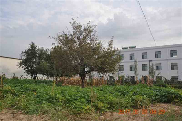 廠區(qū)展示實拍